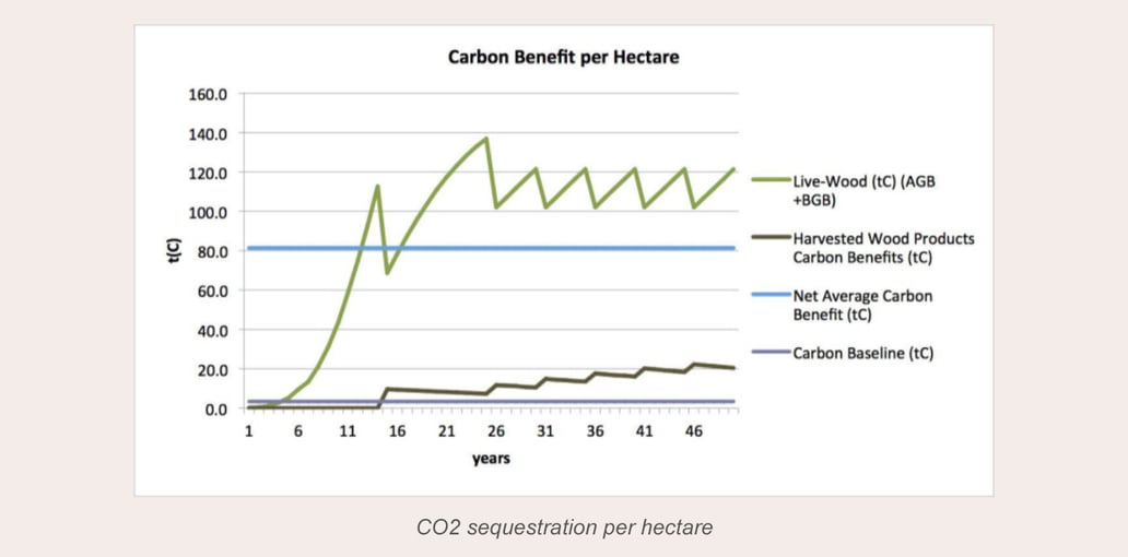 What is TreeNation's CO2 offset methodology?